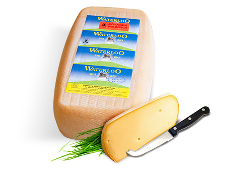 Le WATERLOO, au pur lait bio de vache et à croûte morgée naturelle