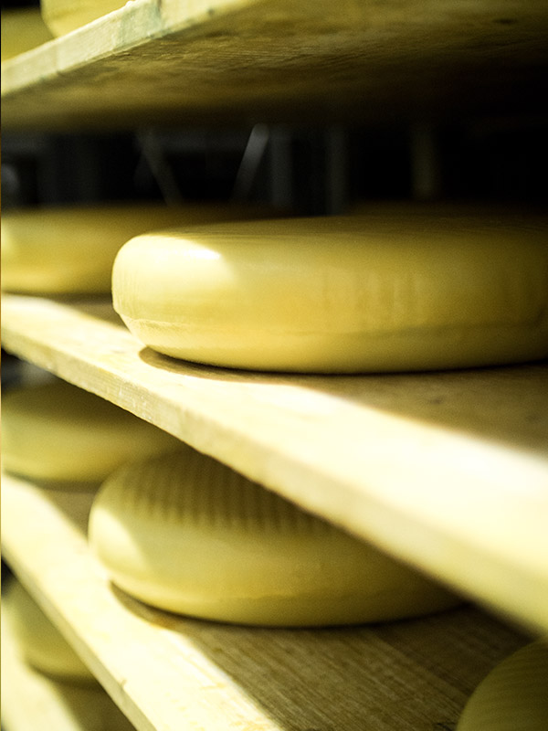 Sites De Production 24