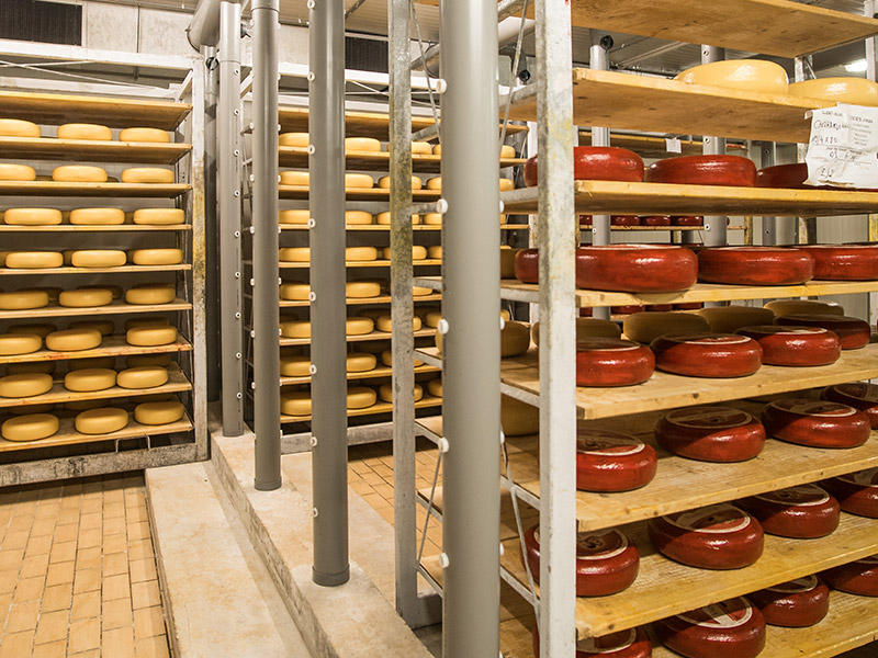 Sites De Production 5