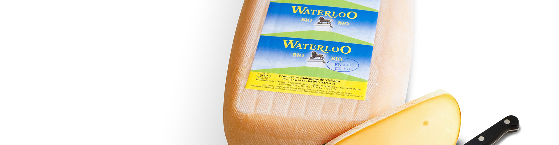 banner Loicq waterloo